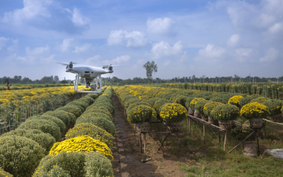 Agriculture Drone Videography